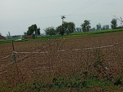 Commercial Industrial Plot 392000 Sq.Ft. in Nh 1 Ambala