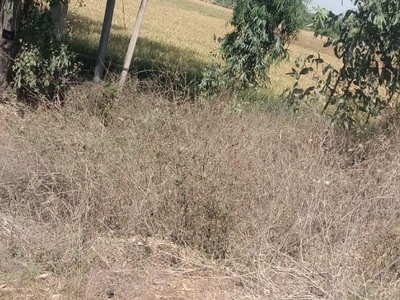Commercial Land 5 Acre in Faridpur Panipat