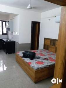 Fully Furnished 1bhk For Rent