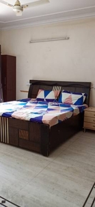 1100 sq ft 2 BHK 2T Apartment for rent in DDA Mig Flats Sarita Vihar at Sarita Vihar, Delhi by Agent SHIV ASSOCIATES