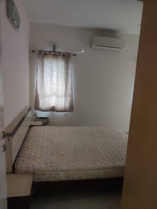 2000 sq ft 3 BHK 3T Apartment for rent in Project at Besant Nagar, Chennai by Agent Signature Plus