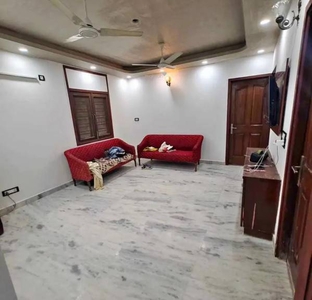 540 sq ft 1 BHK 1T Apartment for rent in Project at Saket, Delhi by Agent Nigam associate