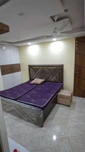 700 sq ft 1 BHK 1T BuilderFloor for rent in Project at Hari Nagar, Delhi by Agent RG Real Estate