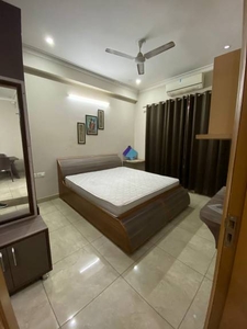 800 sq ft 2 BHK 2T BuilderFloor for rent in Project at Sector 19 Dwarka, Delhi by Agent Rohit