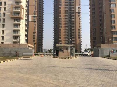 1300 sq ft 2 BHK 2T Apartment for rent in Pioneer Park PH 1 at Sector 61, Gurgaon by Agent Raman Singh