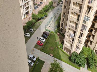 3 BHK Flat for rent in Sector 137, Noida - 1695 Sqft