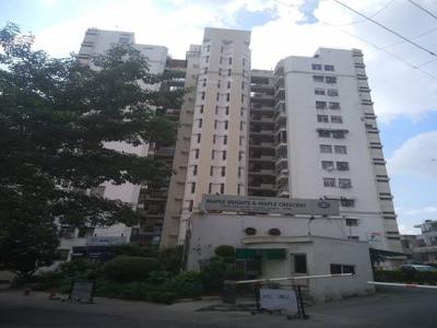 980 sq ft 2 BHK 2T Apartment for rent in Ansal Maple Heights at Sector 43, Gurgaon by Agent Raman Singh