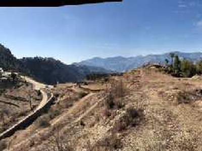 10 Acre Commercial Land for Sale in Dhalli, Shimla