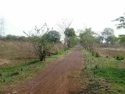 Agricultural Land 10 Ares for Sale in Utai, Durg