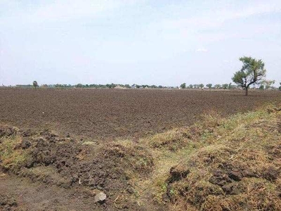 Agricultural Land 10 Bigha for Sale in Noorsarai, Nalanda