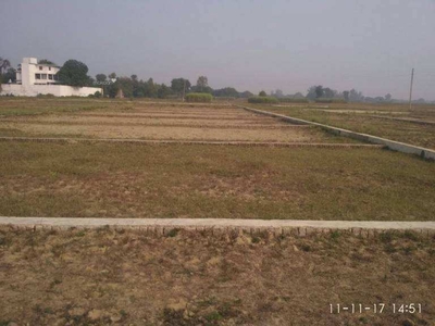 1000 Sq.ft. Residential Plot for Sale in Gauhania, Allahabad