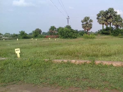 Residential Plot 1000 Sq.ft. for Sale in NH 98, Patna