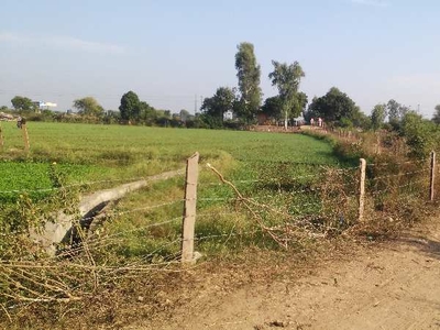 Agricultural Land 103 Bigha for Sale in Uniara, Tonk