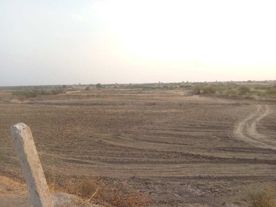 Agricultural Land 11 Bigha for Sale in Nasirabad, Ajmer