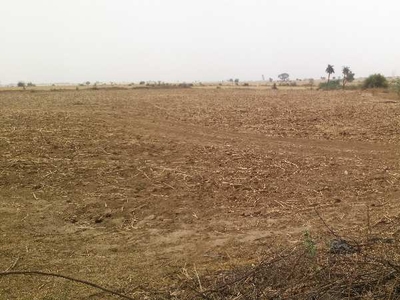 Agricultural Land 11 Bigha for Sale in Shastri Nagar, Bhilwara