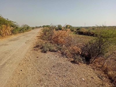Agricultural Land 11 Bigha for Sale in Uniara, Tonk