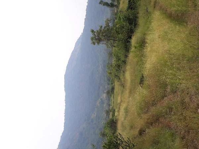Residential Plot 115 Ares for Sale in Alibag, Raigad
