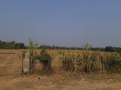 Industrial Land 12 Acre for Sale in