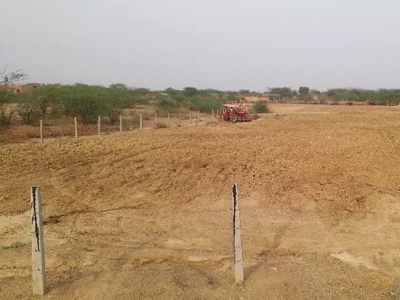 Agricultural Land 12 Bigha for Sale in Shastri Nagar, Bhilwara