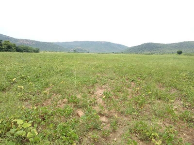 Agricultural Land 13 Bigha for Sale in Uniara, Tonk