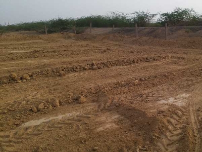 Agricultural Land 14 Bigha for Sale in Peeplu, Tonk