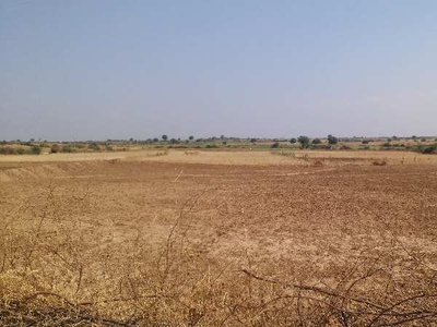 Agricultural Land 15 Bigha for Sale in Shastri Nagar, Bhilwara