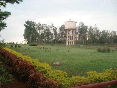 Balaji Palms