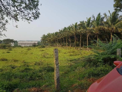 Agricultural Land 159 Cent for Sale in Madampatti, Coimbatore