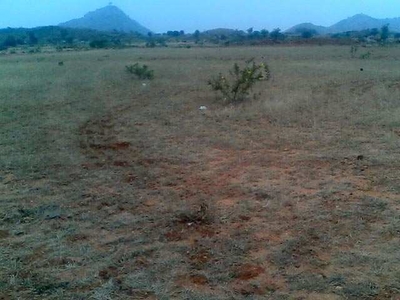 Agricultural Land 17 Acre for Sale in