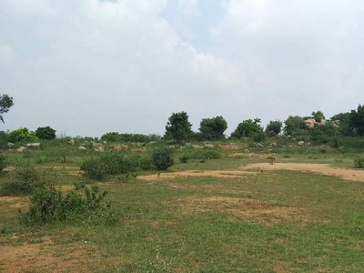 Commercial Land 17 Acre for Sale in Tiruchanoor, Tirupati