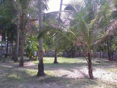 Residential Plot 17 Cent for Sale in Kayamkulam, Alappuzha