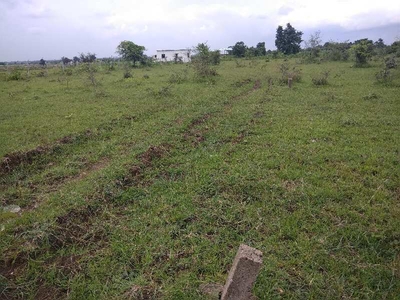 Residential Plot 1700 Sq.ft. for Sale in Outer Ring Road, Nagpur