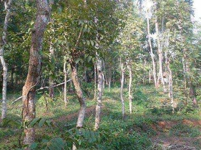 Residential Plot 18 Cent for Sale in Perinthalmanna, Malappuram