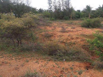 Agricultural Land 2 Ares for Sale in Melacheval, Tirunelveli
