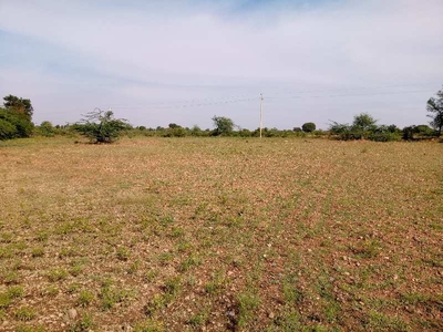 Agricultural Land 20 Acre for Sale in Sira, Tumkur