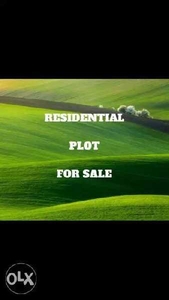Residential Plot 20 Cent for Sale in Mallappally, Pathanamthitta