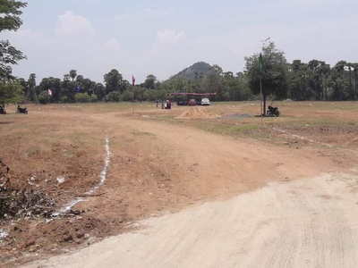 200 Sq. Yards Residential Plot for Sale in Korukonda, Vizianagaram