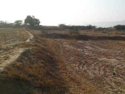 Agricultural Land 21 Bigha for Sale in Suwana, Bhilwara