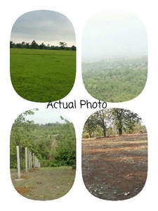 Agricultural Land 210 Acre for Sale in