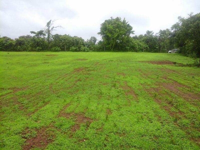 Agricultural Land 21780 Sq.ft. for Sale in