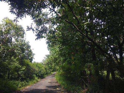 Agricultural Land 22 Acre for Sale in