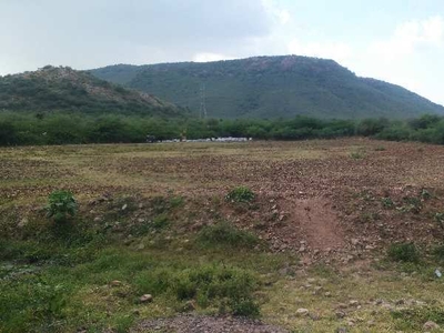 Agricultural Land 22 Bigha for Sale in Todaraisingh, Tonk