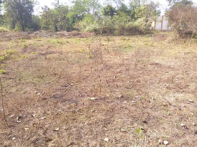 Agricultural Land 25 Acre for Sale in