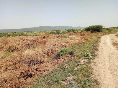 Agricultural Land 25 Bigha for Sale in Todaraisingh, Tonk