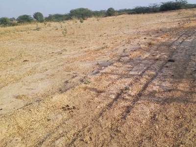 Agricultural Land 27 Bigha for Sale in Todaraisingh, Tonk