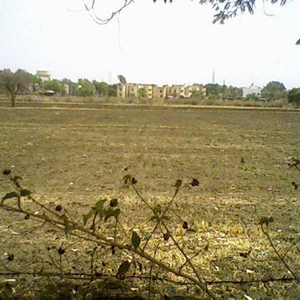 Agricultural Land 3 Acre for Sale in Pardi, Vapi