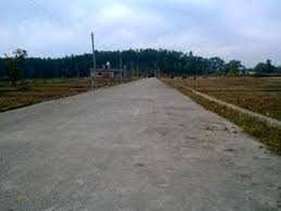 Commercial Land 30 Bigha for Sale in