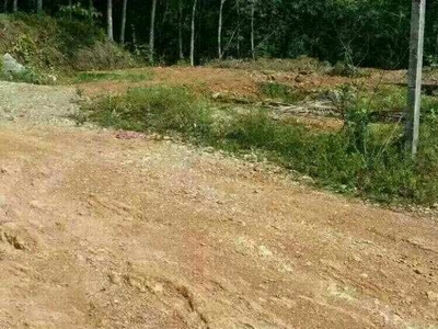 Residential Plot 30 Cent for Sale in Punalur, Kollam