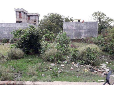 Residential Plot 3044 Sq.ft. for Sale in Salon, Deoria
