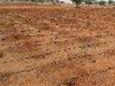 Agricultural Land 33 Cent for Sale in Veppur, Hosur